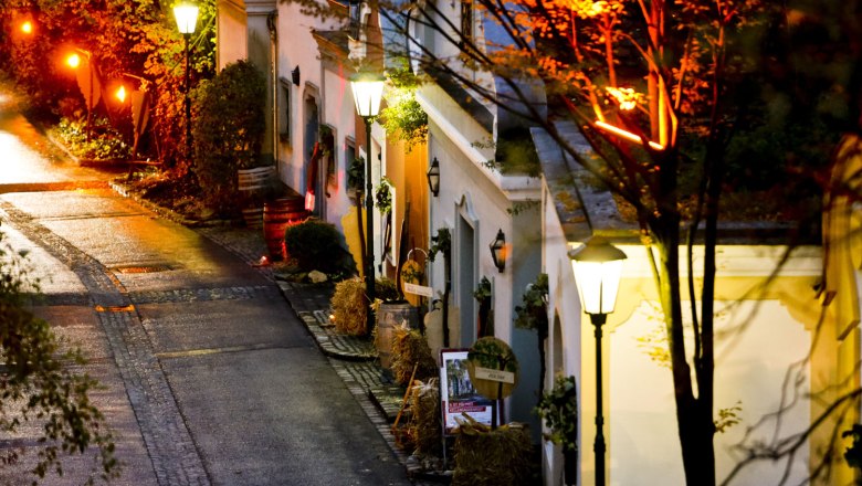 Kellergassenfest 2022, © Josef Bollwein Kellergassenfest 2022, © Josef Bollwein