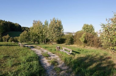 Pfad, © Werner Jäger Pfad, © Werner Jäger