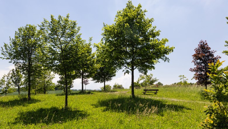 Heirats- & Geburtenwald, © Werner Jäger Heirats- & Geburtenwald, © Werner Jäger
