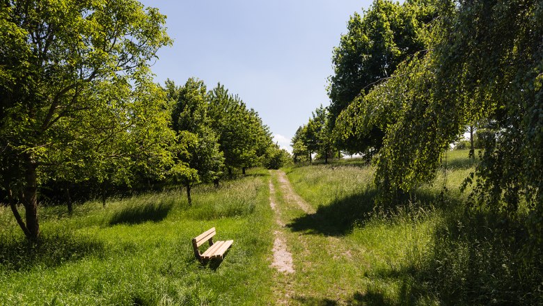 Heirats- & Geburtenwald, © Werner Jäger Heirats- & Geburtenwald, © Werner Jäger