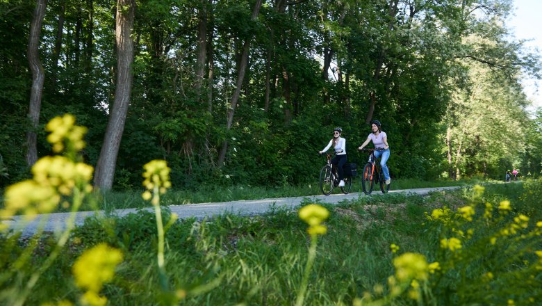 Traisental Radweg, © Rupert Pessl Traisental Radweg, © Rupert Pessl