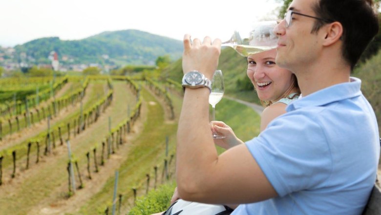 Direkt in den Weinbergen genießen, © weinfranz.at Direkt in den Weinbergen genießen, © weinfranz.at