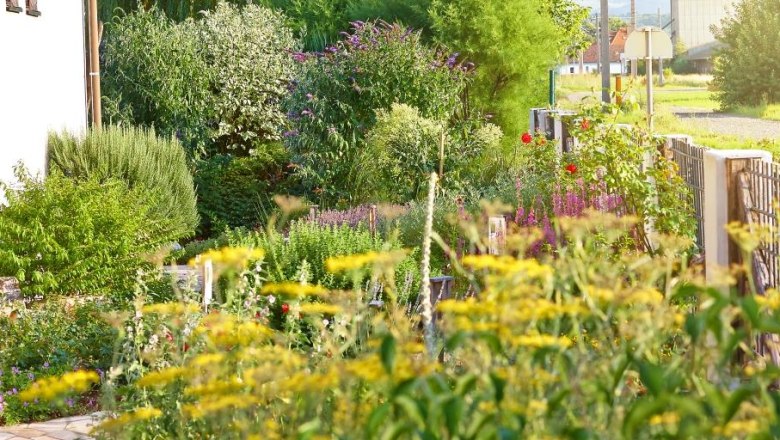 STYX herb garden, © STYX Naturcosmetic A lush herb garden with various plants and flowers next to a building.