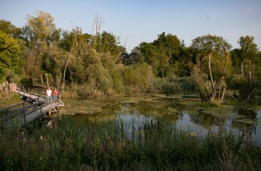 Tour in the nature of the city, © Schwarz König 