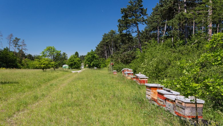 beehives, © Werner Jäger