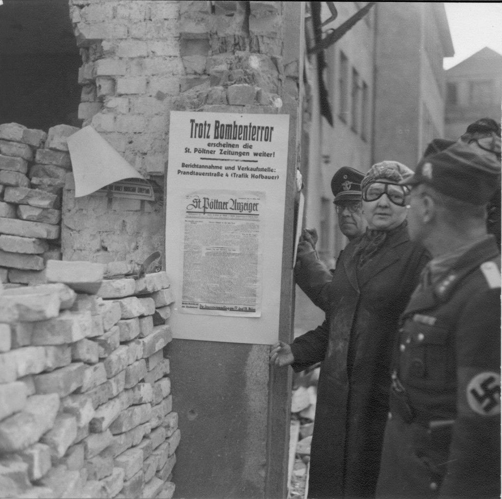 Blick in den Schatten. kompakt