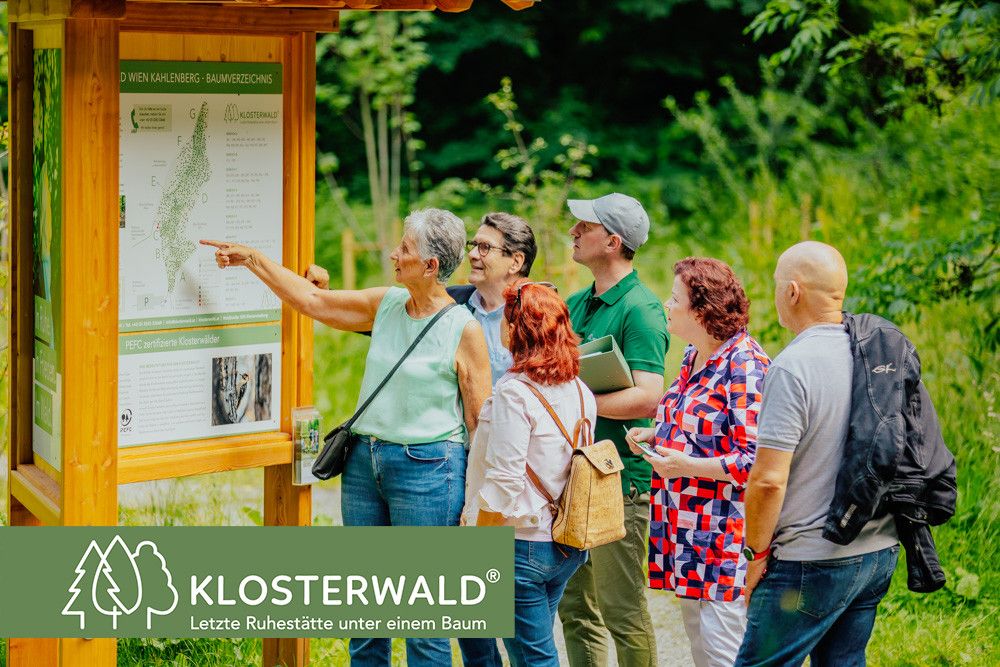 Bei einem Spaziergang durch den Klosterwald erfahren Sie alles Wissenswerte über eine Baumbestattung