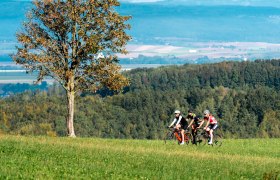 Plambachecker H&ouml;he, &copy; Josef Bollwein