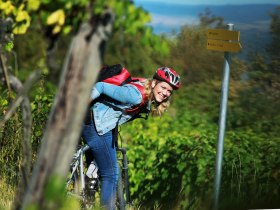 Mountainbiken im Weingarten - weinfranz.at, &copy; Mostviertel