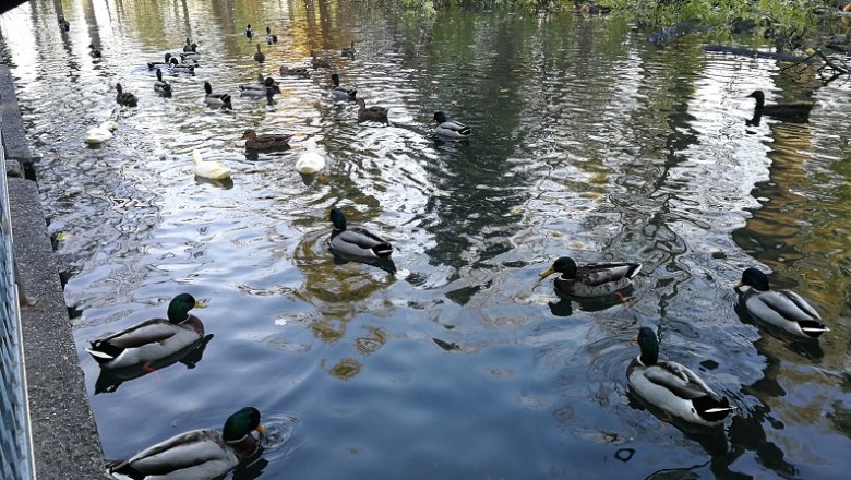 St. Pölten Parks