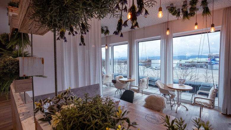 Innenraum eines Caf&eacute;s mit Pflanzen und gro&szlig;en Fenstern.