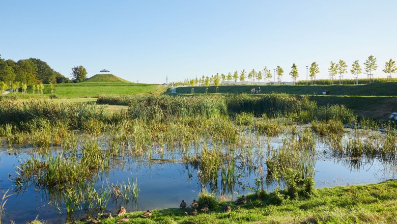 Iceberg tip, &copy; Rupert Pessl