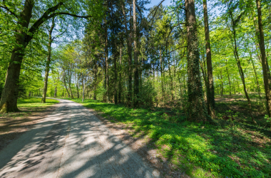 Kaiserwald, © 360 Studios