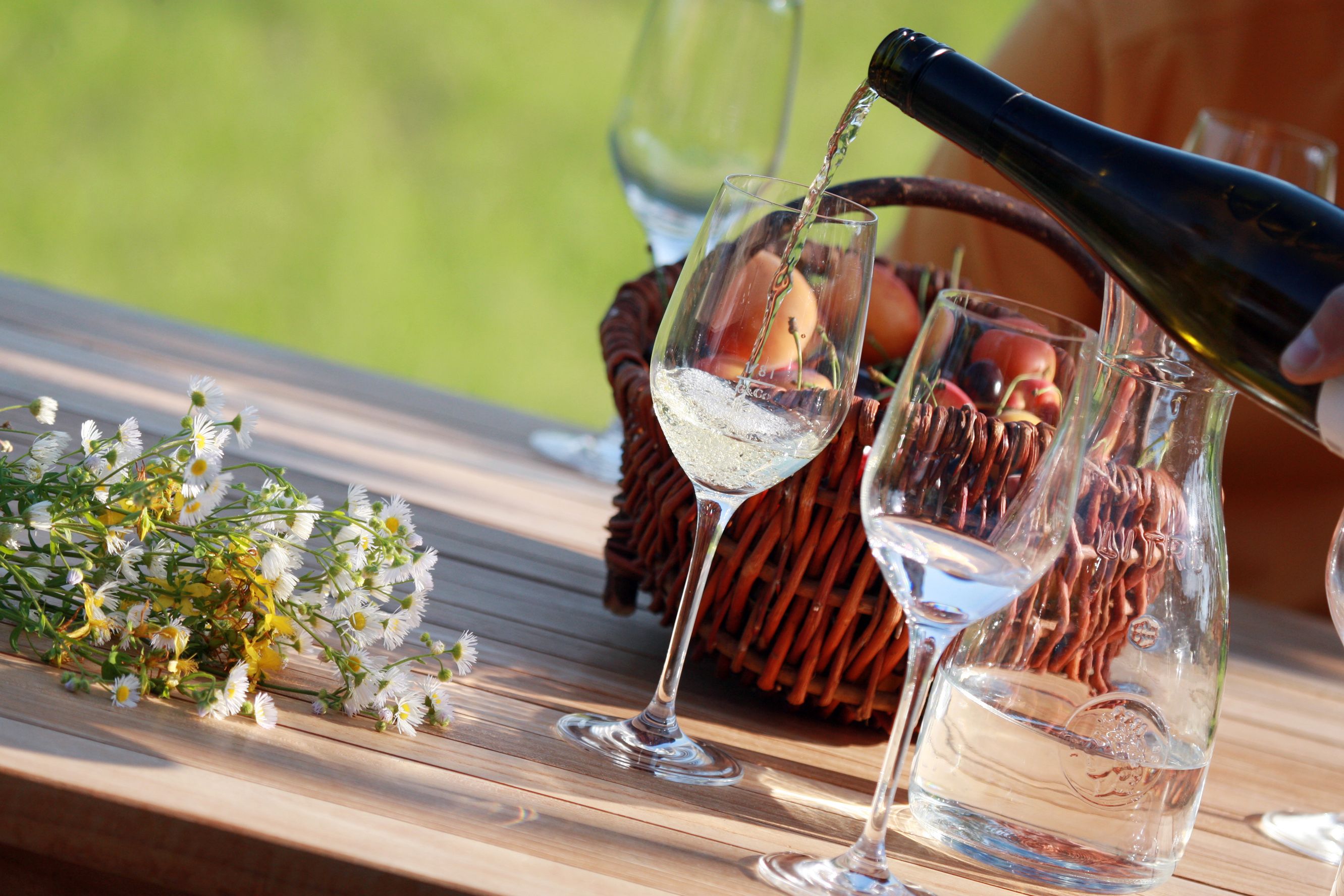 Wein im Traisental