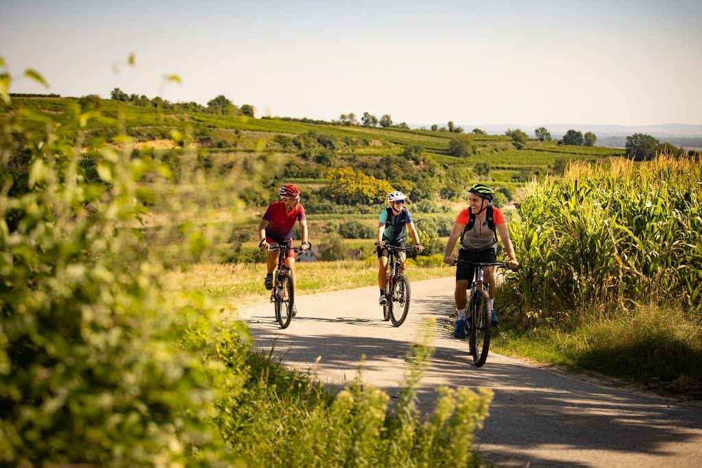 Radfahren im Weinland Traisental