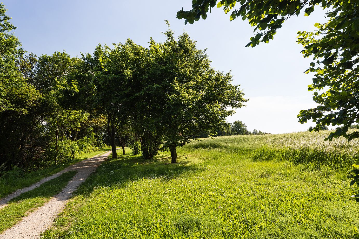 Panoramaweg Krembserberg