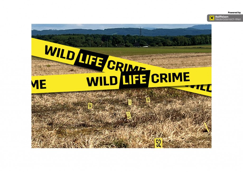 Erlebte Natur: wildLIFEcrime