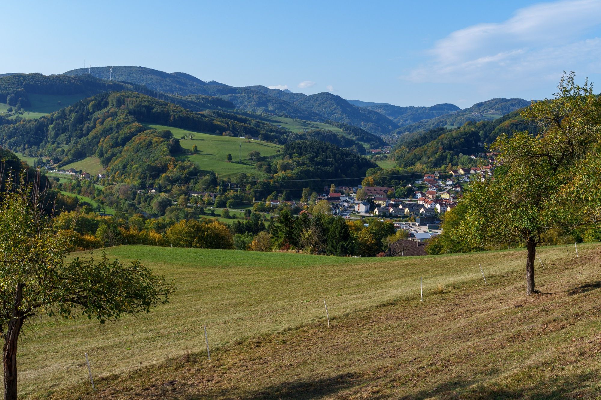 Rotheau Geiseben