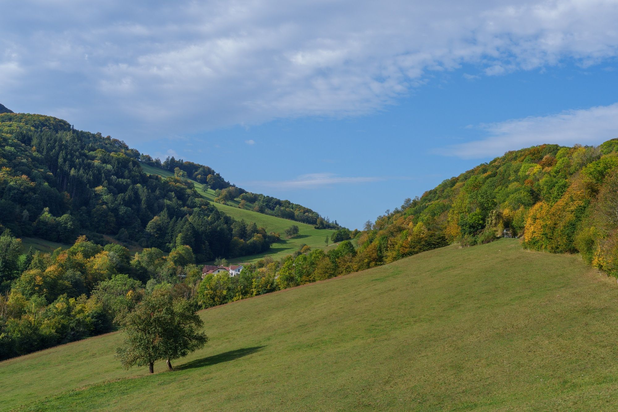Geiseben