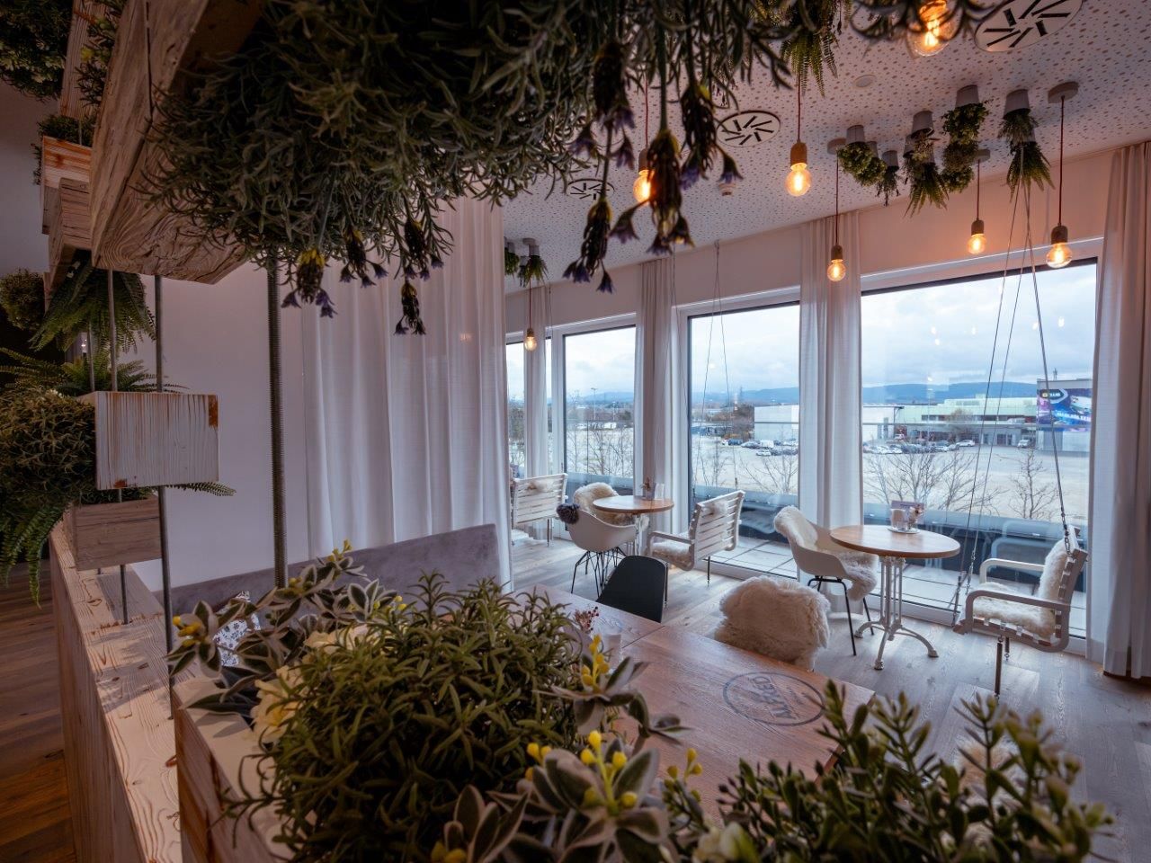 Lounge Bar 