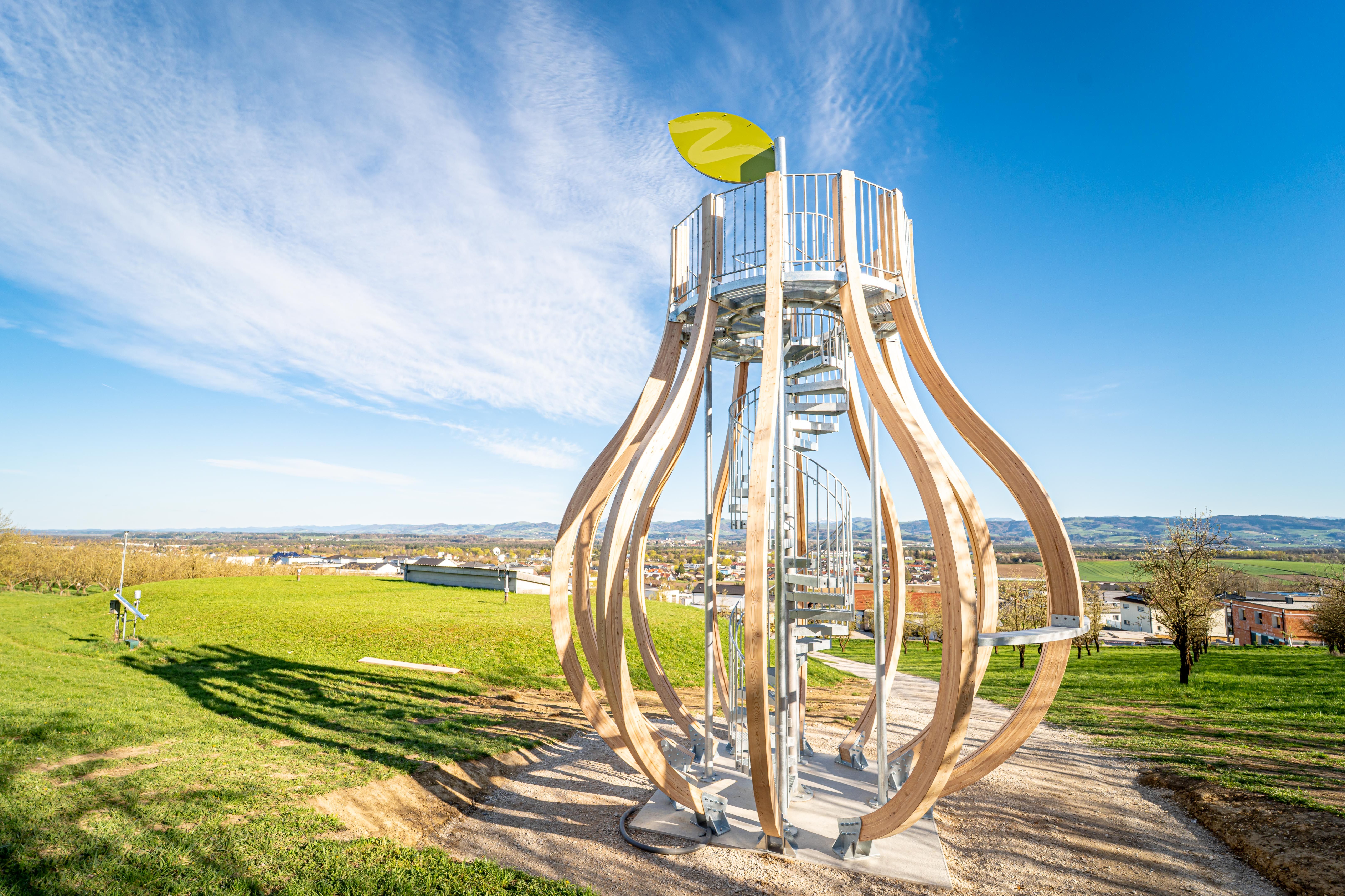 Riesenbirne_02 (5 von 9)