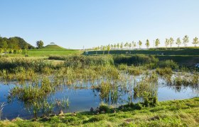 Eisbergspitze, &copy; Rupert Pessl