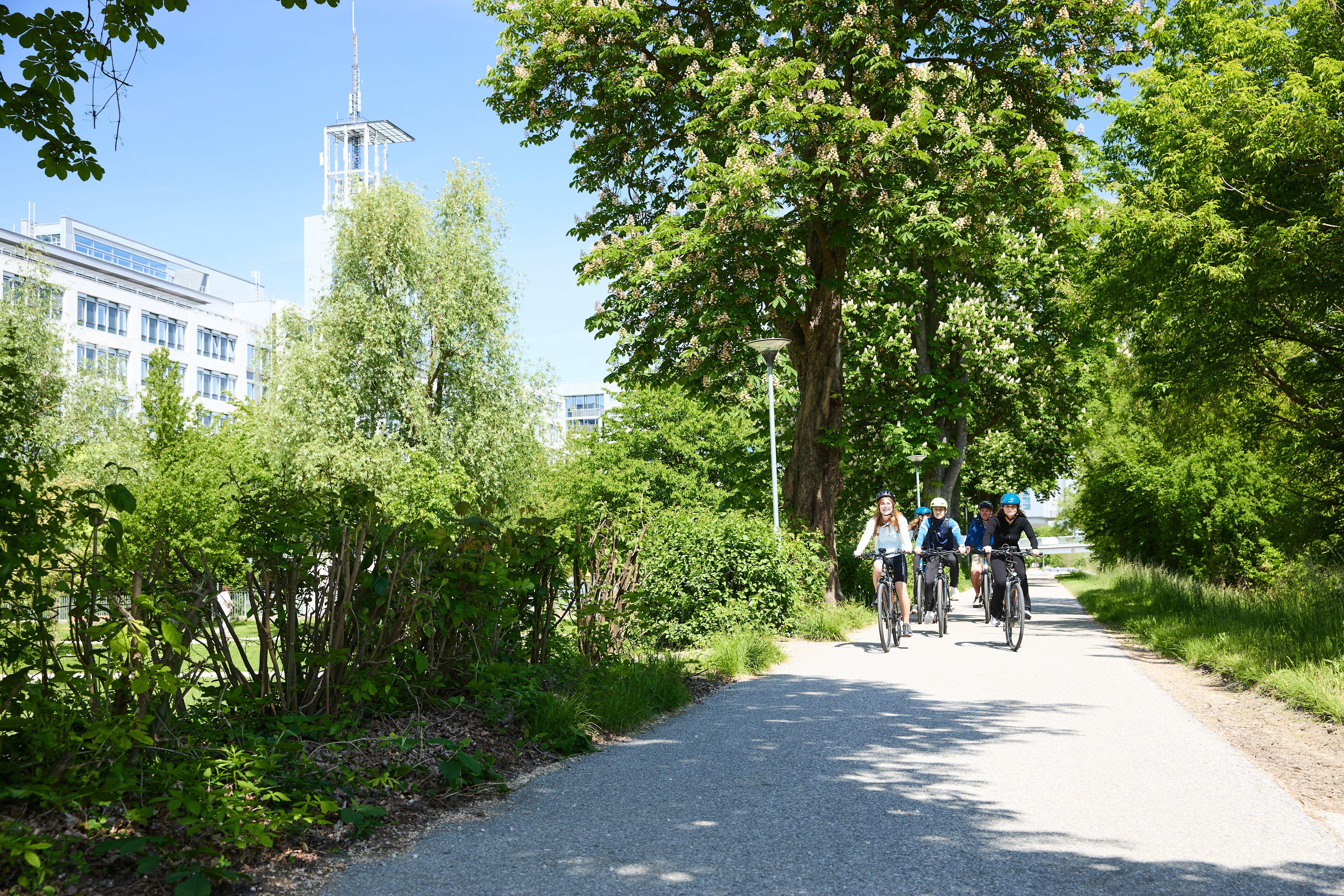Radfahrer am Traisental Radweg entlang der Landesregierung