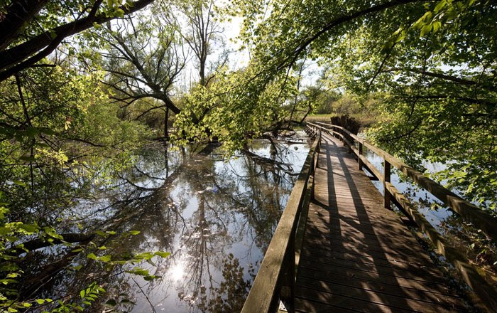 A wooden footbridge leads through a green, wooded area over a peaceful pond.