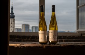 Hauptstadtwein 2025 "Bertha" 