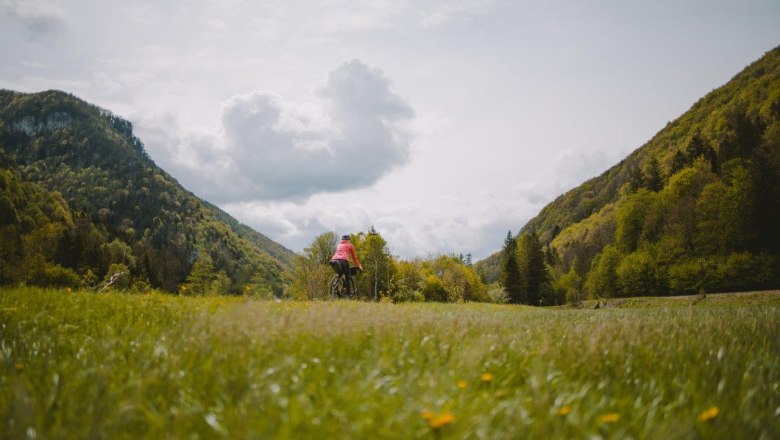FConsolati_Traisentalradweg_32_HQ, &copy; Franziska Consolati