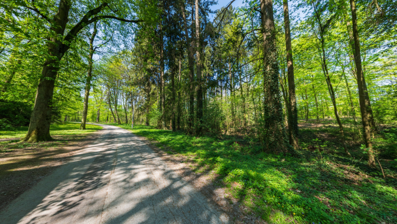 Kaiserwald, © 360 Studios