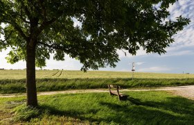 Nadelbach, &copy; Werner J&auml;ger