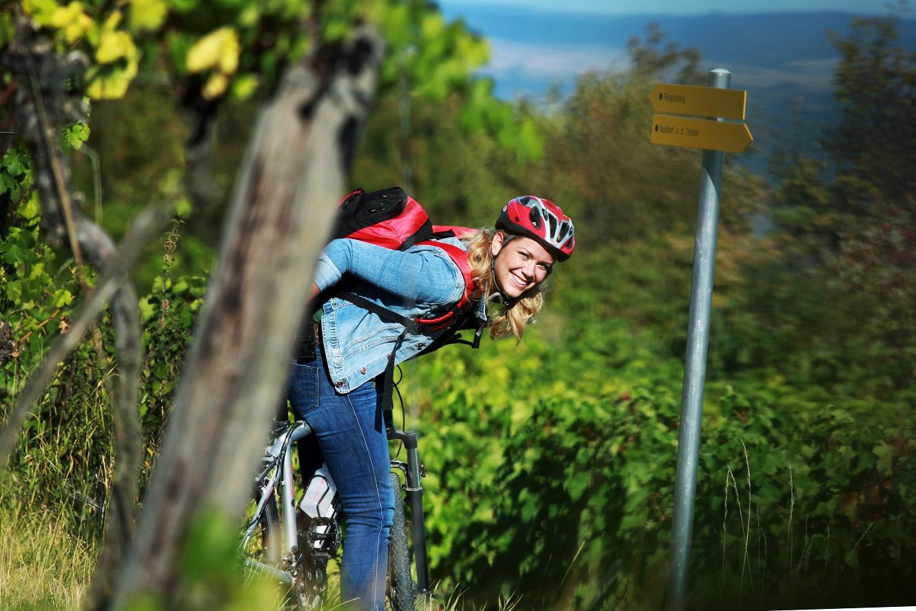 Mountainbiken im Weingarten - weinfranz.at
