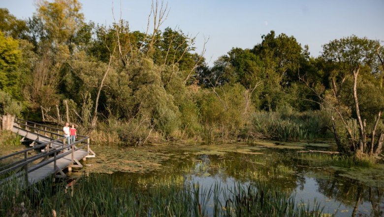 Feldmühle Ratzersdorf, © Schwarz König 