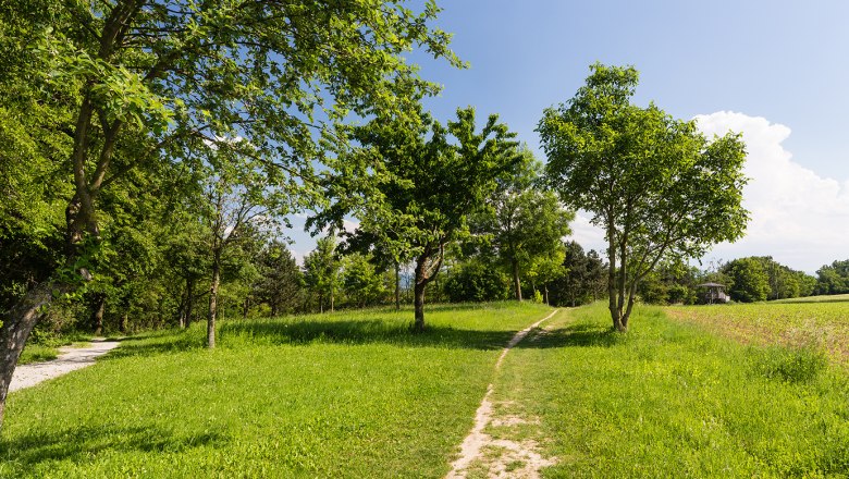 Panorama path Kremserberg, © Werner Jäger