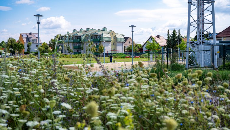 Sturm 19 Park, &copy; Christian Kr&uuml;ckel