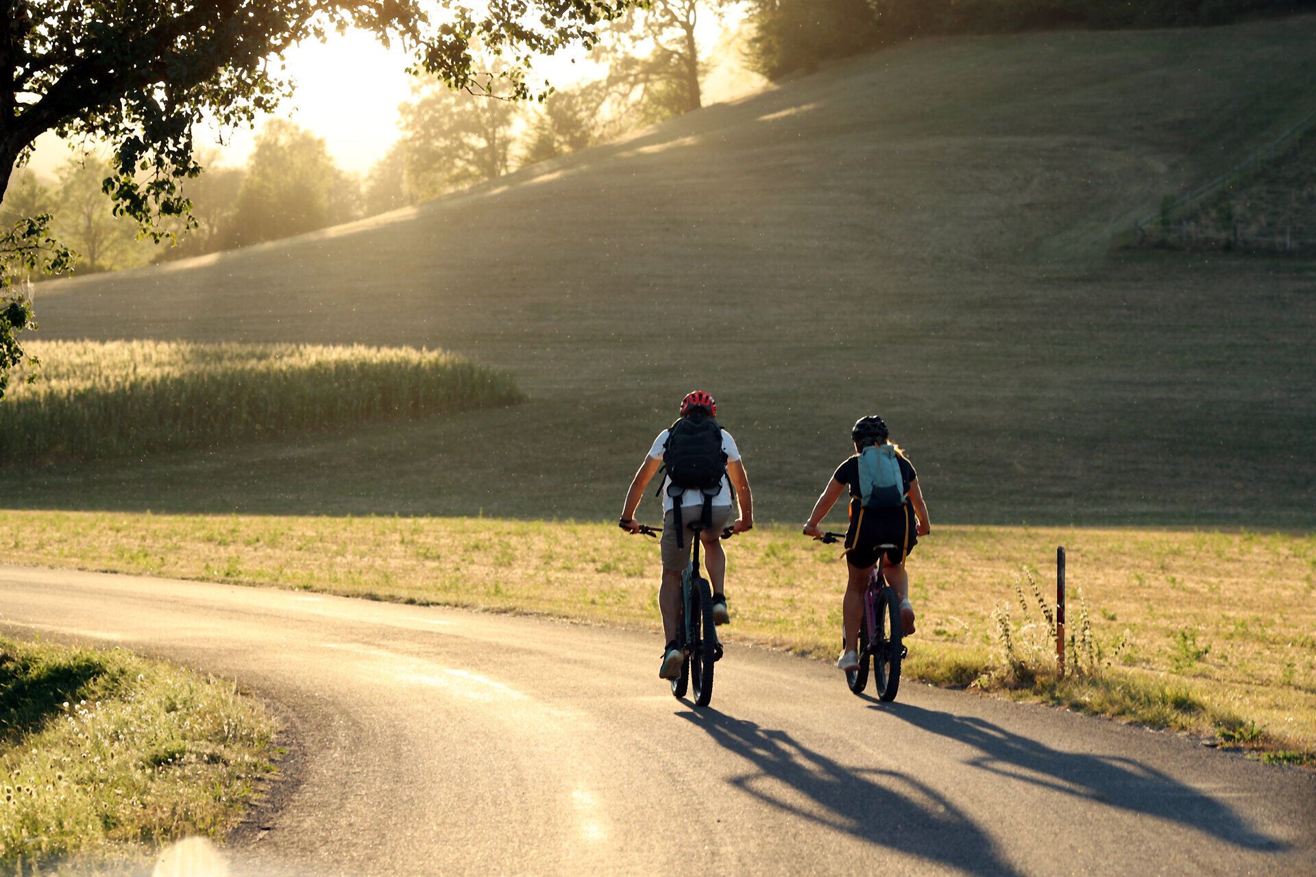 Zwei Radfahrende am Pielachtalradweg bei heller Lichtstimmung.
