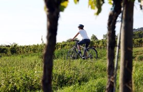 Cycling in the Traisental-Danube region, &copy; Mostviertel