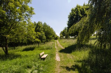 Heirats- &amp; Geburtenwald, © Werner Jäger
