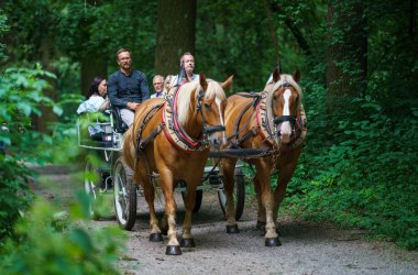 Carriage ride City Park St. Pölten, © Josef Bollwein