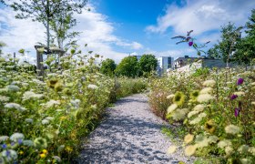Natur erleben in der Stadt, &copy; Christian Kr&uuml;ckel