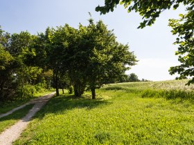 Panorama trail Krembserberg, &copy; Werner J&auml;ger