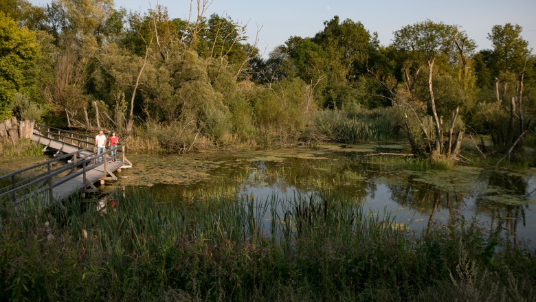 Tour in the nature of the city, © Schwarz König 