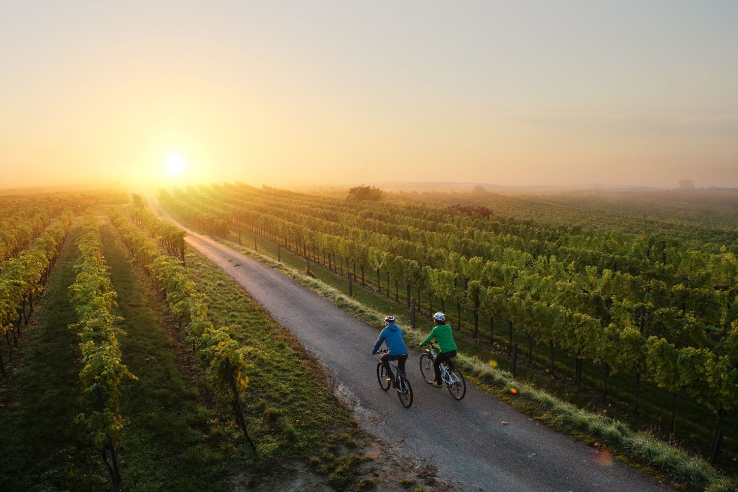 Radfahren im Weinland Traisental