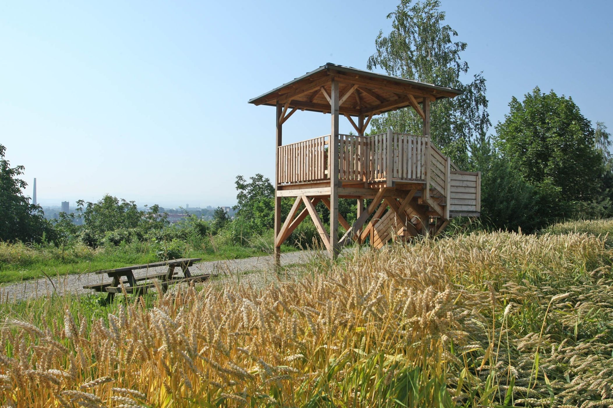 Panoramaweg Krembserberg