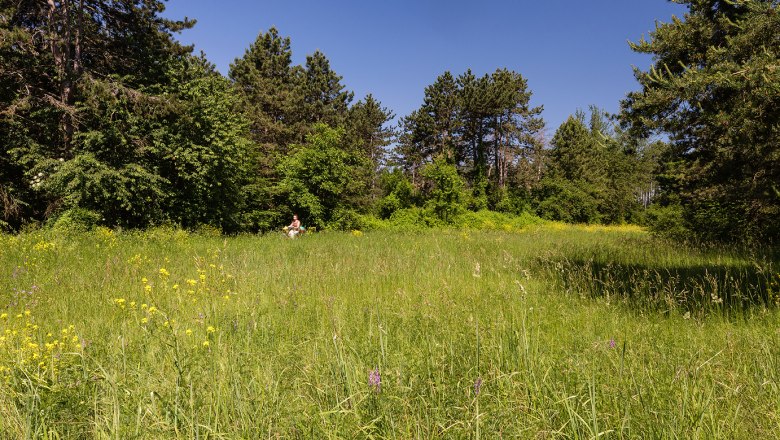 Brunnenfeld Süd, © Werner Jäger