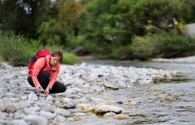 Rast an der Pielach, &copy; weinfranz.at