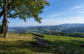 Hegerberg, © Josef Bollwein