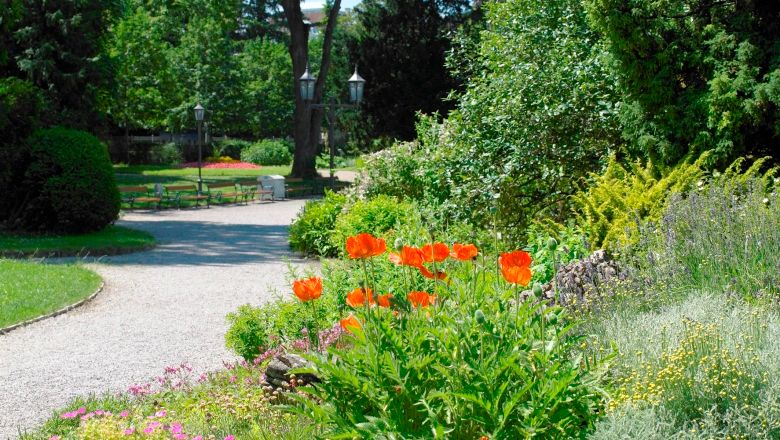 Ein gepflegter Parkweg mit blühenden roten Blumen und grünen Büschen im Sparkassenpark St. Pölten.