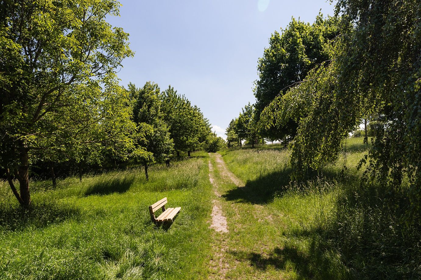 Kollerberg